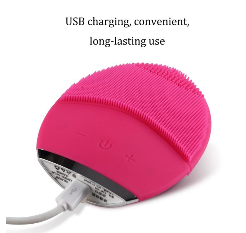 facial cleansing brush